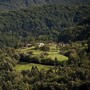 Arta Terme